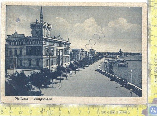 Cartolina - Postcard - Nettunia - Lungomare - 1942
