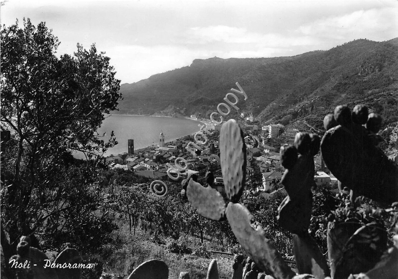 Cartolina - Postcard - Noli - Panorama - 1956