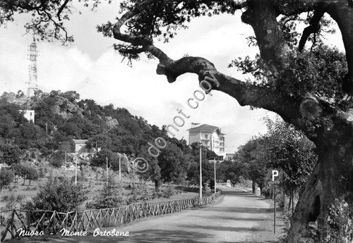 Cartolina - Postcard - Nuoro - Monte Ortobene - 1964 | Immagine principale