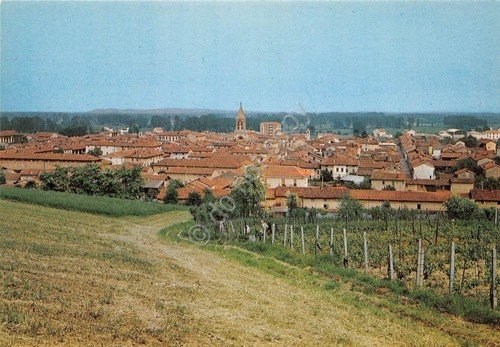 Cartolina - Postcard - Occimiano - Panorama - 1990 (Alessandria)