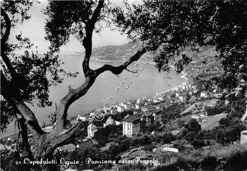 Cartolina - Postcard - Ospedaletti Ligure Panorama a Ponente 1951 | Immagine principale