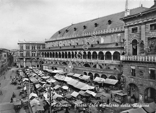 Cartolina - Postcard - Padova Piazza Erbe - Mercato- 1953 | Immagine principale