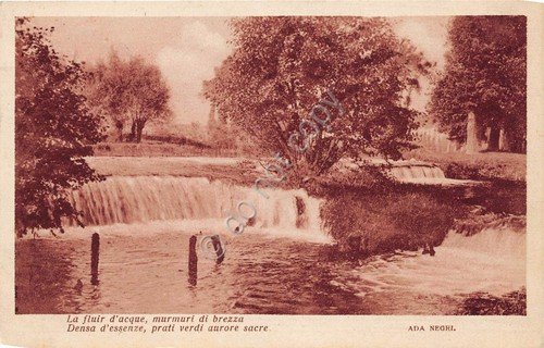 Cartolina - Postcard - Paesaggio con alberi e cascate - … | Immagine principale