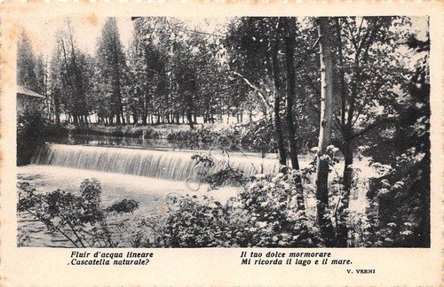 Cartolina - Postcard - Paesaggio con alberi e cascate - …