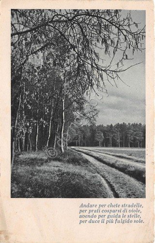 Cartolina - Postcard - Panorama di campagna - poesia - … | Immagine principale