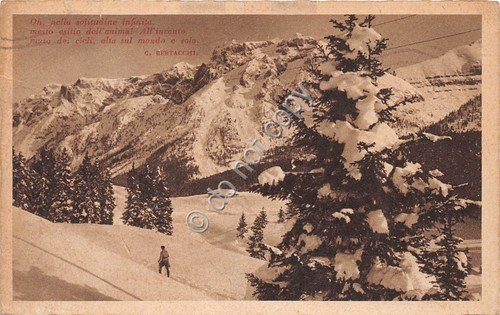 Cartolina - Postcard - Panorama di montagna sciatore animata 1932 … | Immagine Gallery 1