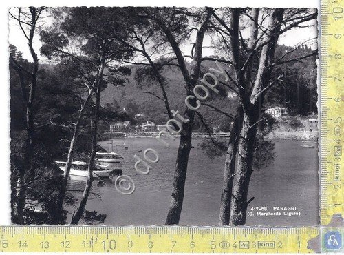 Cartolina - Postcard - Paraggi - Panorama dalla pineta - … | Immagine principale