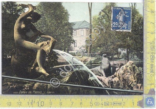 Cartolina - Postcard - Paris - Jardin des Plantes - …