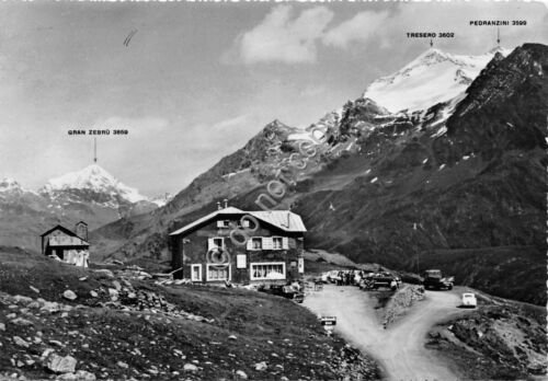 Cartolina - Postcard - Passo del Gavia - Rifugio Berni …