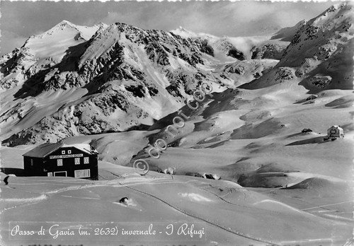 Cartolina - Postcard - Passo di Gavia - I Rifugi … | Immagine principale