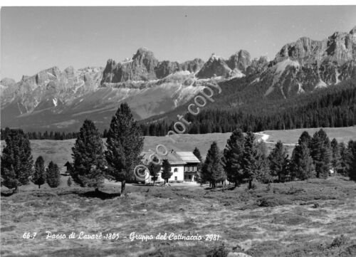 Cartolina - Postcard - Passo di Lavarè - Gruppo Catinaccio …