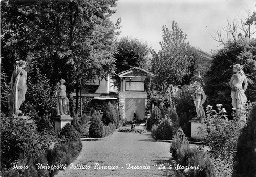 Cartolina - Postcard - Pavia - Università Istituto Botanico - …