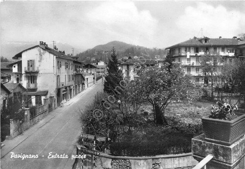 Cartolina - Postcard - Pavignano - Entrata paese - anni … | Immagine principale