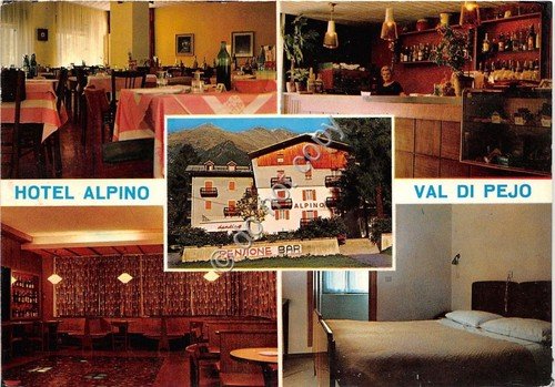 Cartolina - Postcard - Pejo - Hotel Alpino - vedutine …