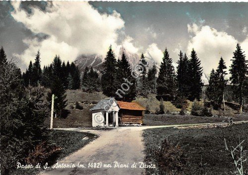 Cartolina - Postcard - Piani di Danta - Passo di … | Immagine principale