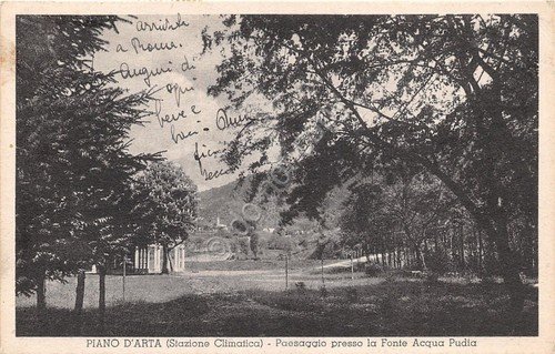 Cartolina - Postcard - Piano d' Arta - Panorama vesro …
