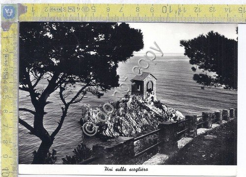 Cartolina - Postcard - Pini sulla scogliera - Cappella - …