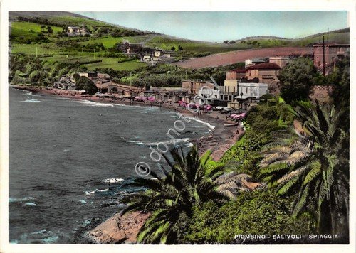 Cartolina - Postcard - Piombino - Salivoli - Spiaggia - …