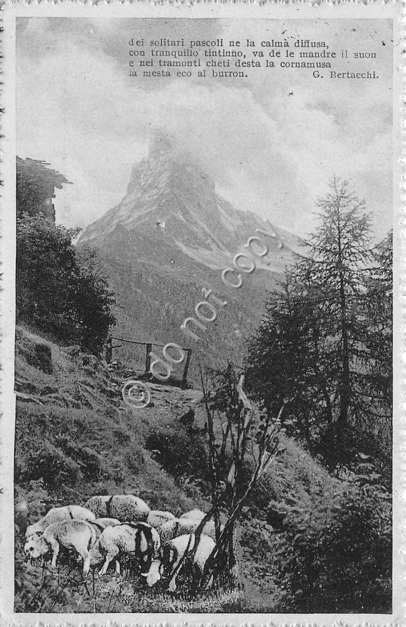 Cartolina - Postcard - Poesia Bertacchi - Panorama montano - …