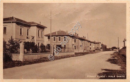 Cartolina - Postcard - Poggio Rusco - Viale Dante - …