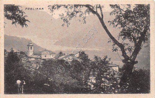 Cartolina - Postcard - Pogliana - Panorama - 1949 (Varese)
