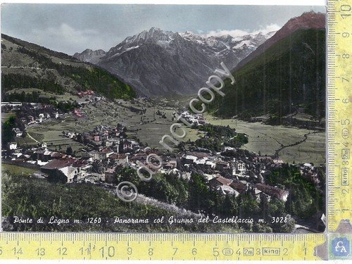 Cartolina - Postcard - Ponte di Legno - Panorama - …