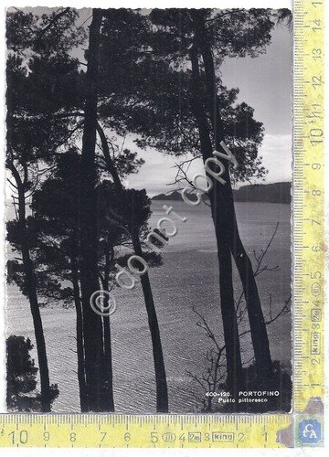 Cartolina - Postcard - Portofino - Punto Pittoresco - anni …