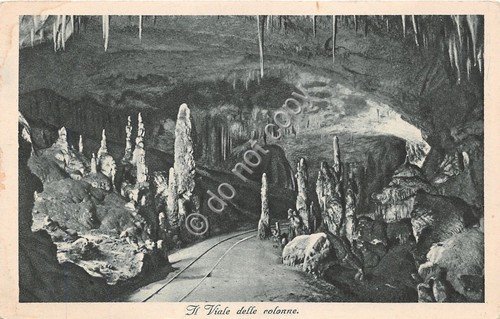 Cartolina - Postcard - Postumia - grotte - Viale delle … | Immagine principale