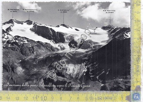 Cartolina - Postcard - Punta Sforzellina - Passo di Gavia …