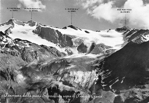 Cartolina - Postcard - Punta Sforzellina - Passo Gavia - …