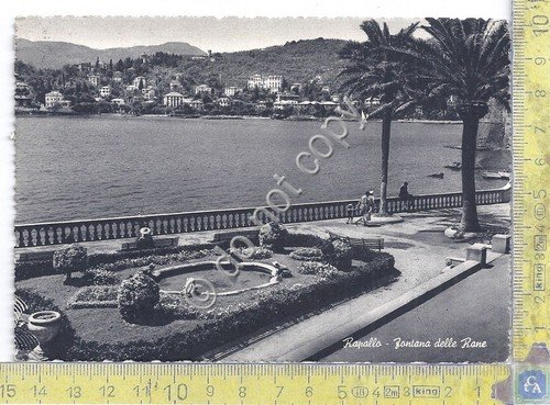 Cartolina - Postcard - Rapallo - Fontana delle Rane - … | Immagine principale