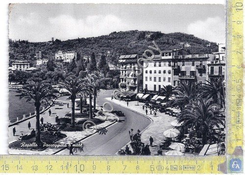 Cartolina - Postcard - Rapallo - Passeggiata a mare - …