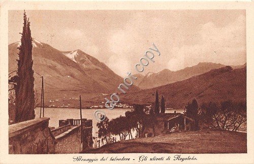 Cartolina - Postcard - Regoledo - Uliveti - Menaggio dal … | Immagine principale
