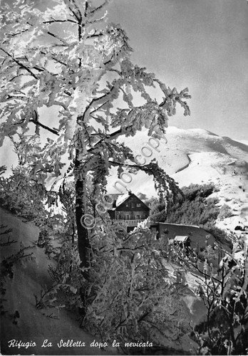 Cartolina - Postcard - Rifugio La Selletta - 1952 | Immagine principale