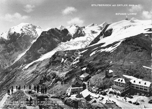 Cartolina - Postcard - Rifugio Livrio - Passo dello Stelvio … | Immagine principale