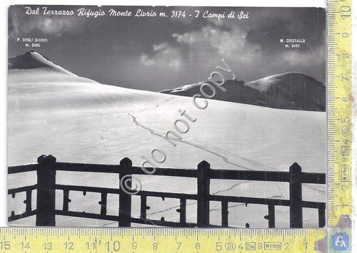 Cartolina - Postcard - Rifugio Monte Livrio - 1957 (Sondrio)