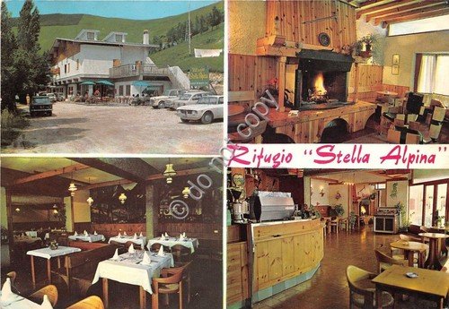 Cartolina - Postcard - Rifugio Stella Alpina - Pianezze Valdobbiadene …