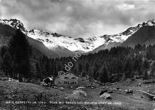Cartolina - Postcard - Rifugio Uget - Cervetto - Pian … | Immagine principale