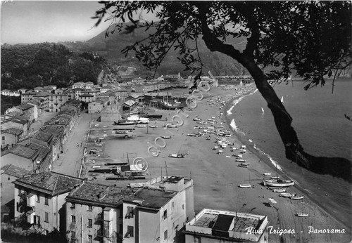 Cartolina - Postcard - Riva Trigoso - Panorama - 1955 | Immagine principale