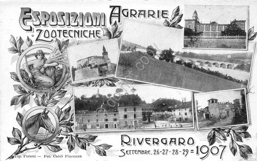 Cartolina - Postcard - Rivergaro - Esposizioni Agrarie Zootecniche - … | Immagine principale
