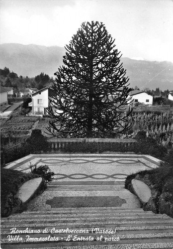 Cartolina - Postcard - Roncano di Castelvaccana - Villa Immacolata … | Immagine principale