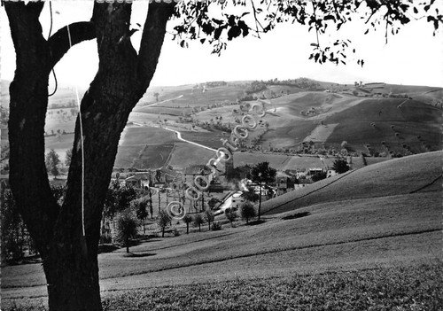 Cartolina - Postcard - S. Ilario Braganza - Panorama - …