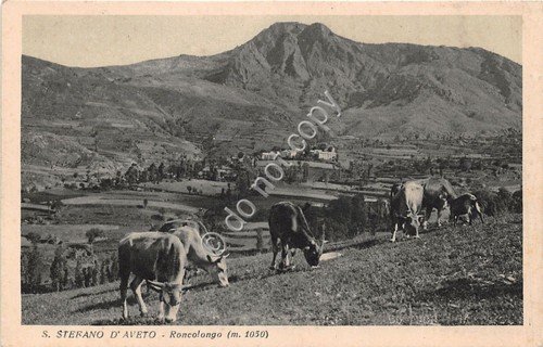 Cartolina - Postcard - S. Stefano d'Aveto - Roncolongo - …