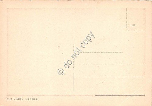 Cartolina - Postcard - S. Terenzo panorama anni '50