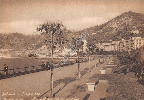 Cartolina - Postcard - Salerno - Lungomare - anni '50