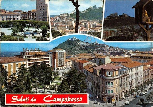 Cartolina - Postcard - Saluti da - Campobasso - vedutine …