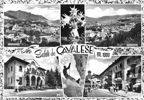 Cartolina - Postcard - Saluti da - Cavalese - vedutine …
