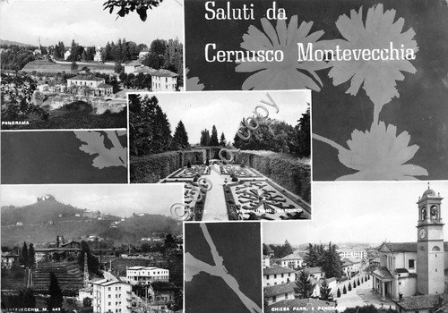 Cartolina - Postcard - Saluti da - Cernusco Montevecchia - … | Immagine principale