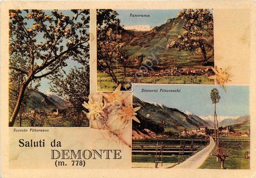 Cartolina - Postcard - Saluti da - Demonte - Vedutine …