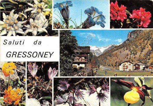 Cartolina - Postcard - Saluti da - Gressoney - vedutine … | Immagine principale